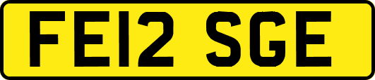 FE12SGE