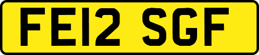FE12SGF