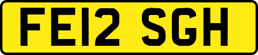 FE12SGH