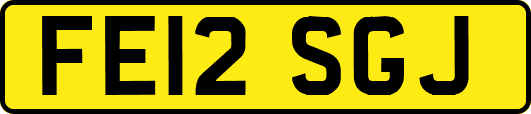 FE12SGJ