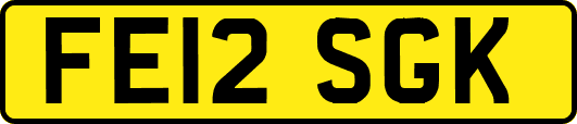 FE12SGK