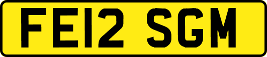 FE12SGM