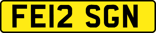 FE12SGN