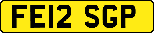FE12SGP