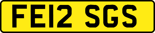 FE12SGS