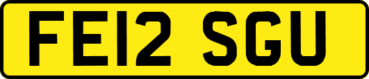 FE12SGU
