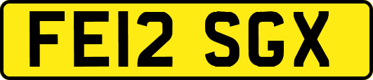 FE12SGX