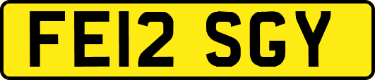 FE12SGY