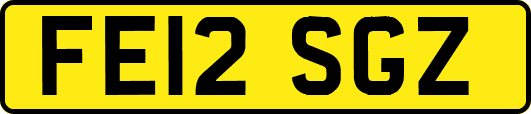 FE12SGZ