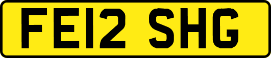 FE12SHG