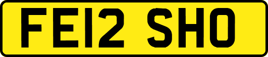 FE12SHO