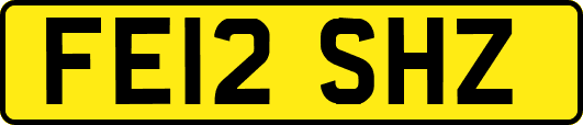 FE12SHZ