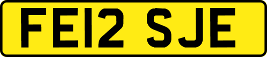 FE12SJE
