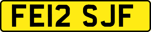FE12SJF