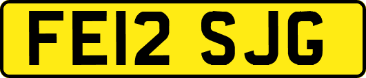 FE12SJG