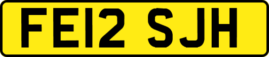 FE12SJH
