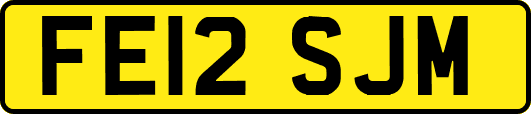 FE12SJM