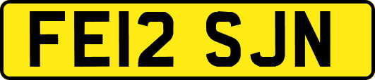 FE12SJN