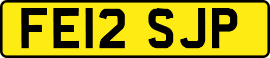 FE12SJP