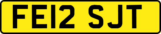 FE12SJT