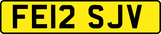 FE12SJV
