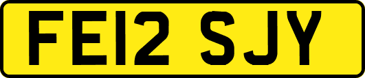 FE12SJY