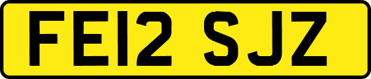 FE12SJZ