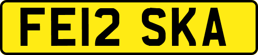FE12SKA