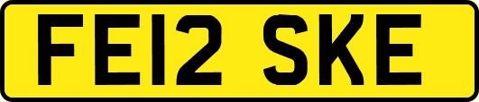 FE12SKE
