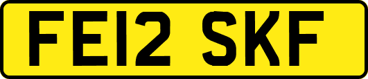 FE12SKF