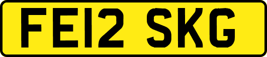 FE12SKG