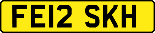 FE12SKH