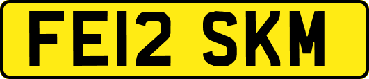 FE12SKM