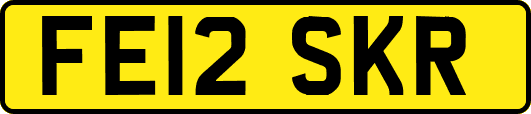 FE12SKR