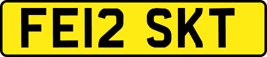 FE12SKT