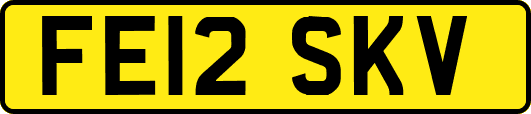 FE12SKV