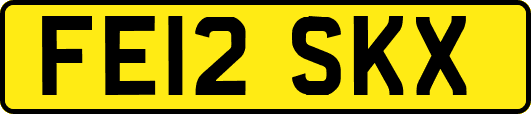 FE12SKX