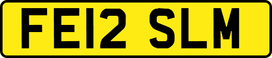 FE12SLM