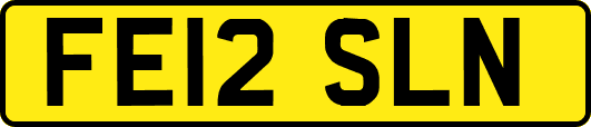 FE12SLN