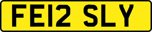 FE12SLY