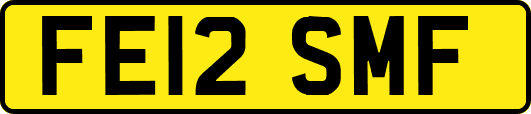 FE12SMF