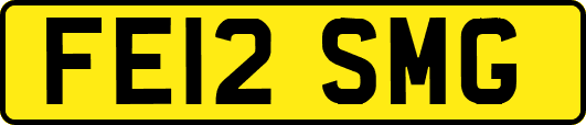 FE12SMG