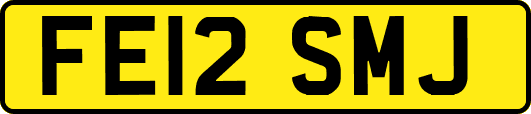 FE12SMJ