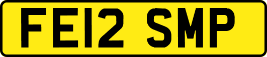 FE12SMP