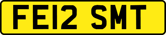 FE12SMT