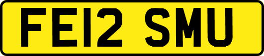 FE12SMU