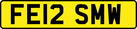 FE12SMW