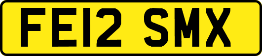 FE12SMX