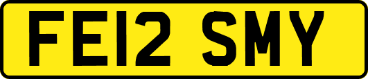 FE12SMY