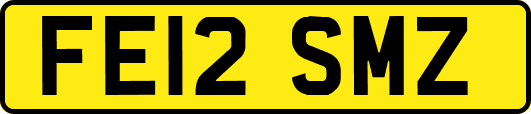 FE12SMZ